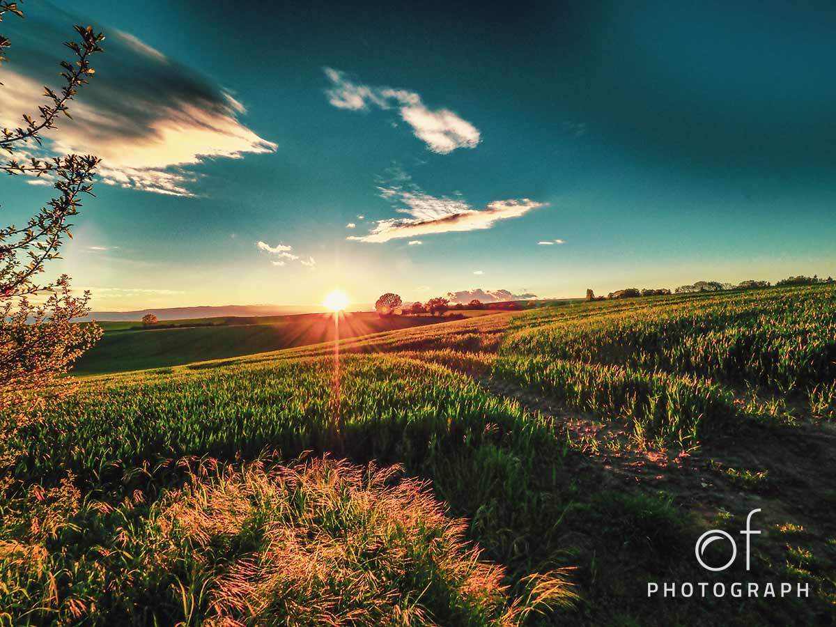 Leinwandbilder Natur