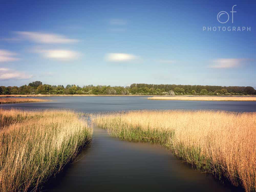 Leinwandbilder Natur